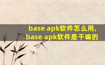 base apk软件怎么用,base apk软件是干嘛的